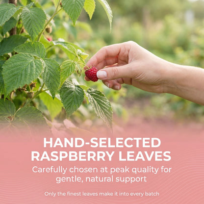EaseHer™ Raspberry Leaf Tea